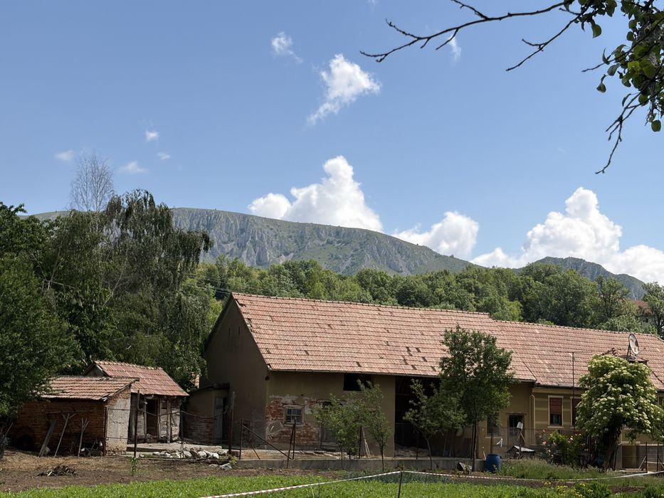 Vand casa in Coltesti