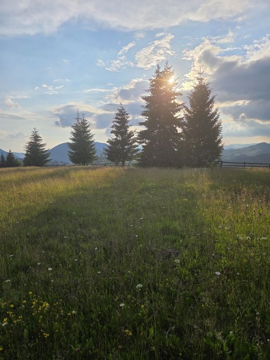 Teren Piatra Fantanele .