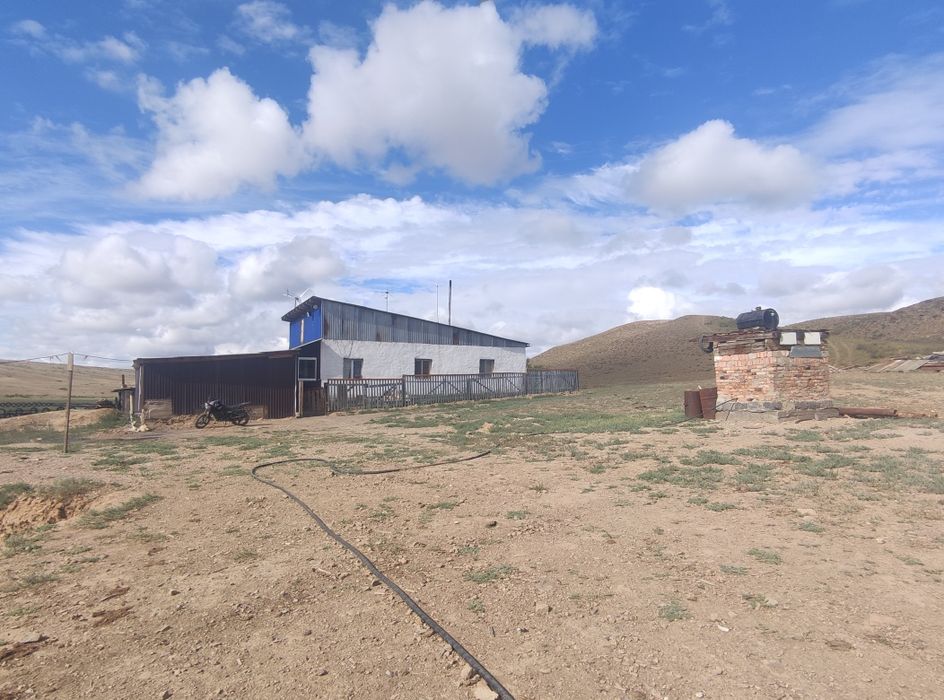 Ауыл шаруашылығы сатылады.