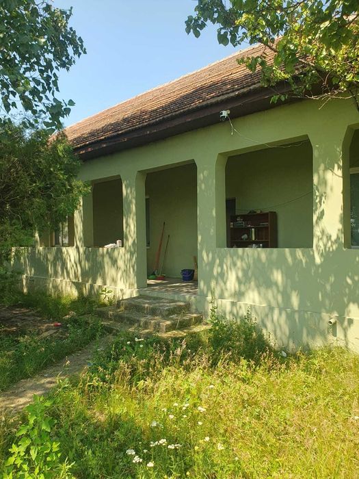 Casa de inchiriat/ Casa de vanzare