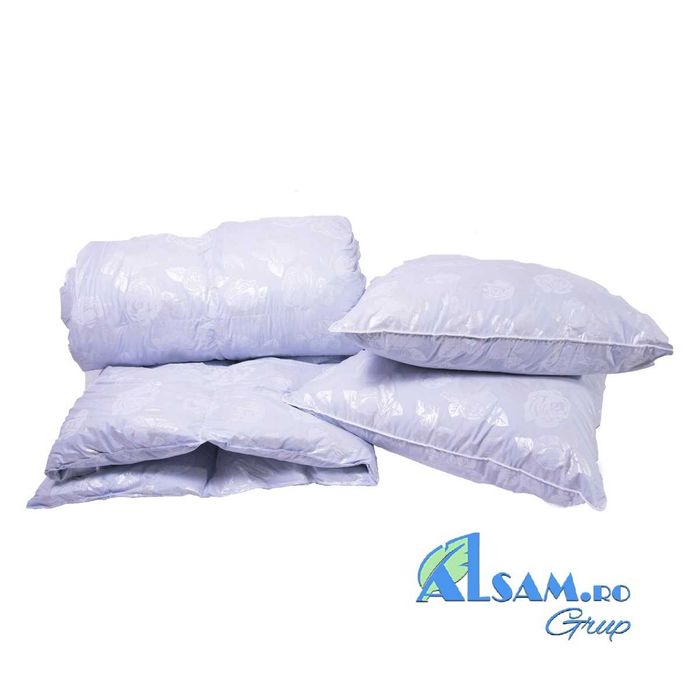 Dosuri de perne si pilote ALSAM