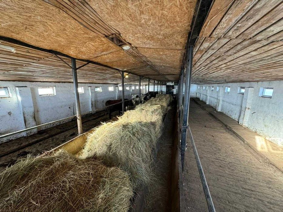 Сельское хозяйство