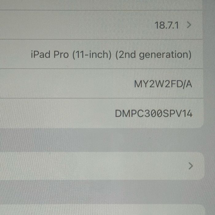 Ipad Pro 11 2nd gen 128gb sim version