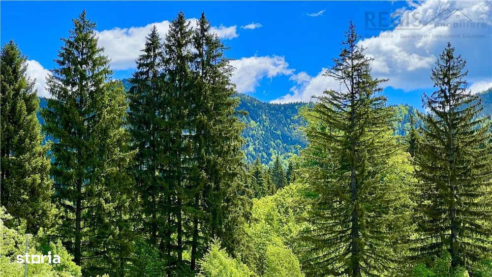 Apartament impecabil 3 cam Silver Mountain