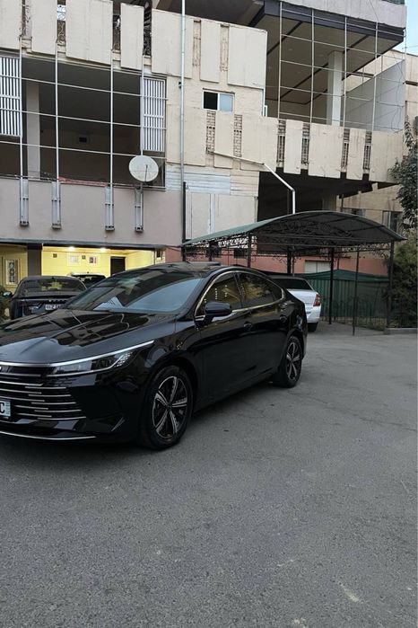 Byd Chazor Dmi Flagship 120 4 позиция