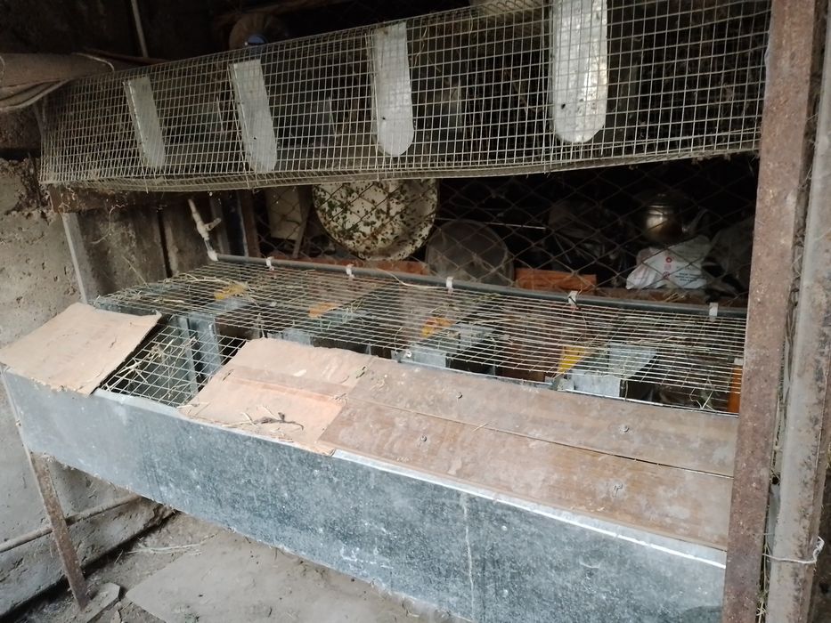 Нержавеющая клетка для кроликов