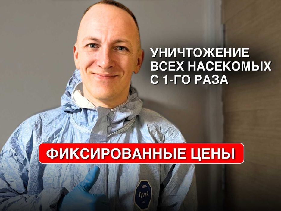 Профессиональное уничтожение тараканов и насекомых