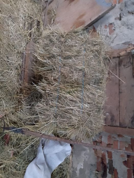 Baloti Fân Si Otavă