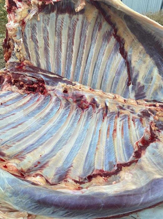 !МЯСО с БЕСПЛАТНОЙ ДОСТАВКОЙ! Говядина Конина Баранина Ет Корова