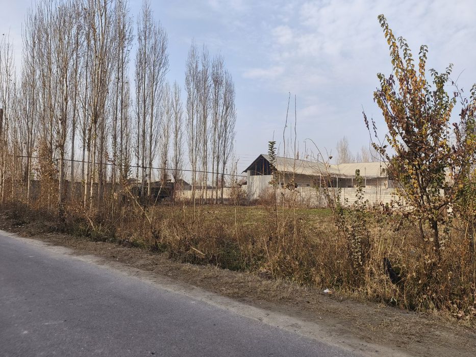 Chek zudlik bn sotiladi