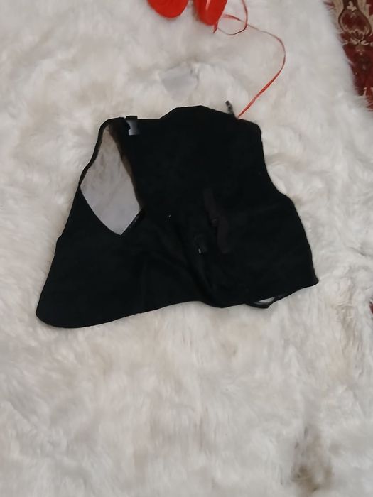 Анематорский медведь