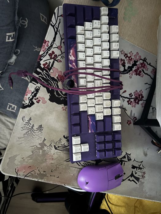 Монитор XG 240hz