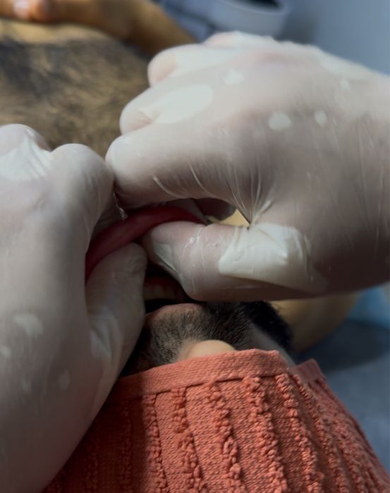 Массажист со стажем 10 лет