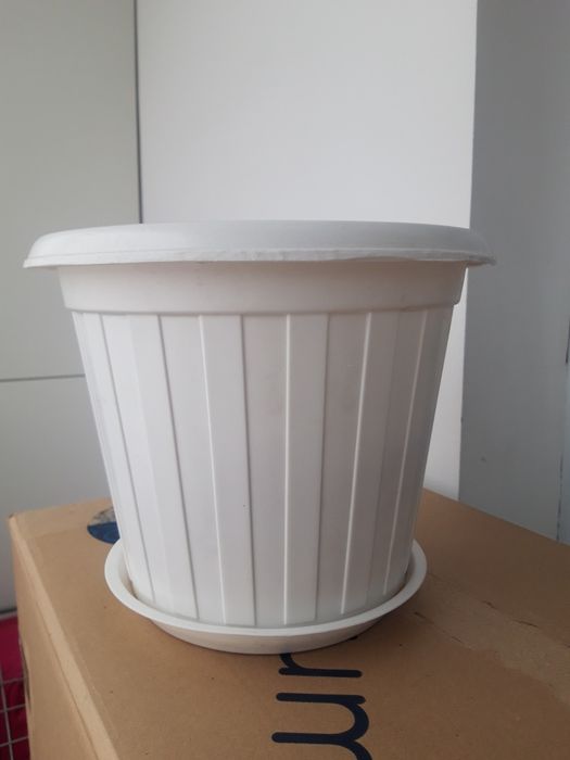 Горшки для рассады