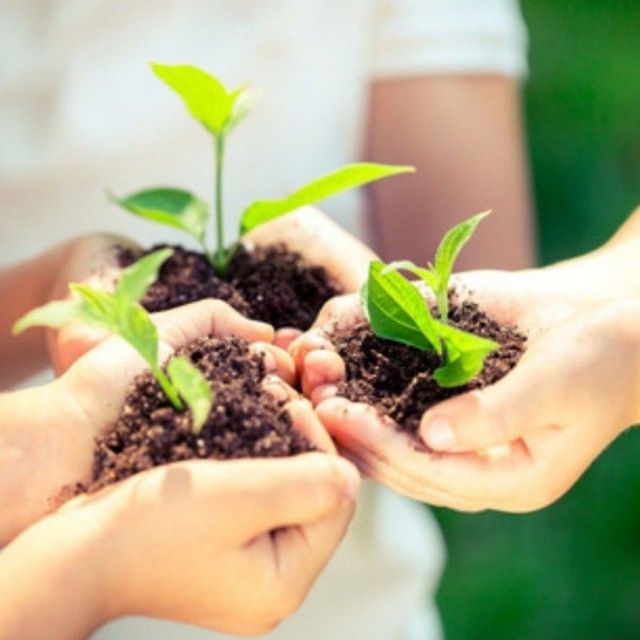 Биогомус  ог'ит  бог'лар учун.