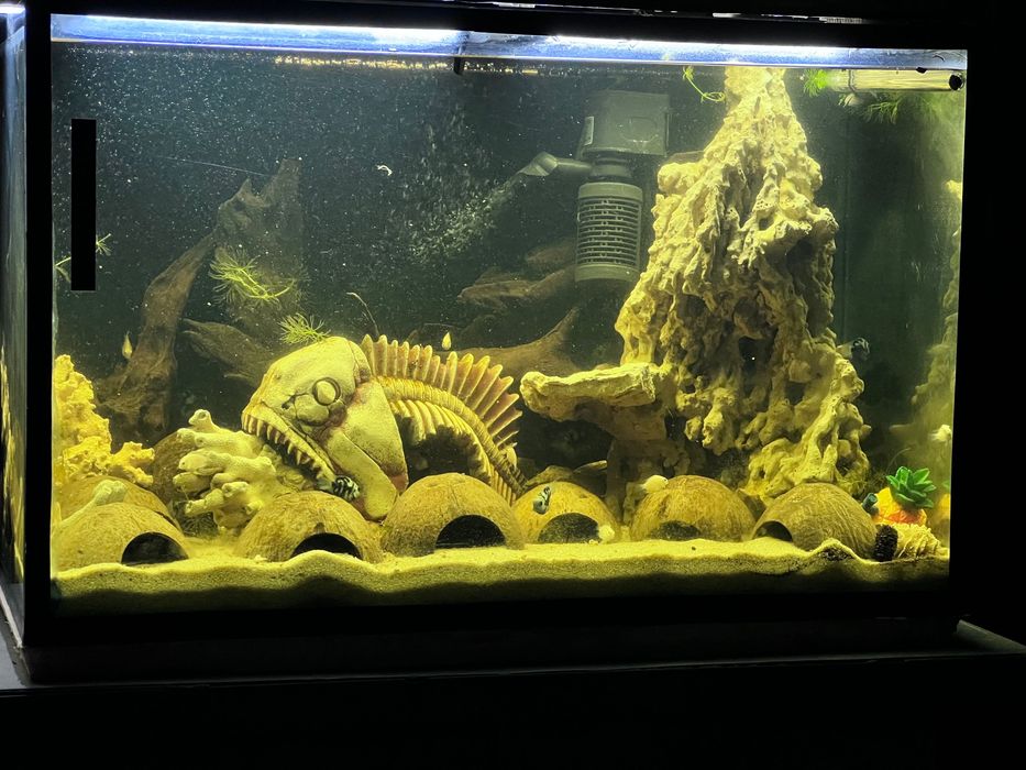 Продам аквариум 160л