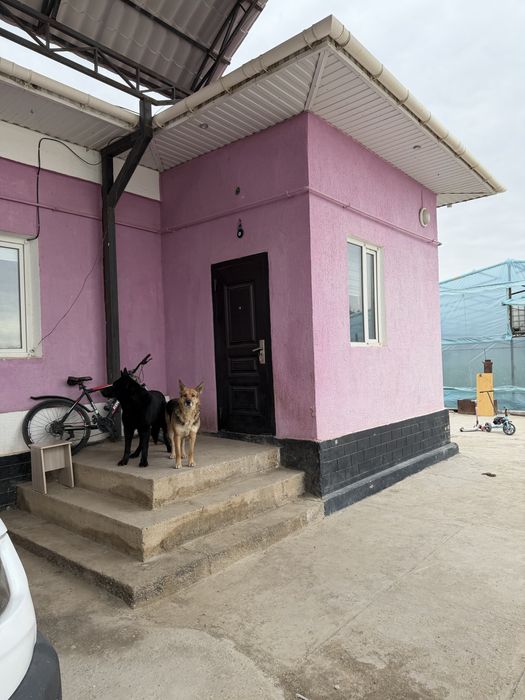 Жер Үй Сатылады. 20 сотық