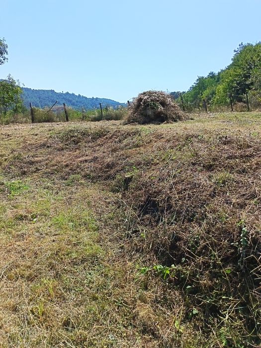 Preturi mici la defrișări,toaletat copaci, cosit,curățat terenuri, gos