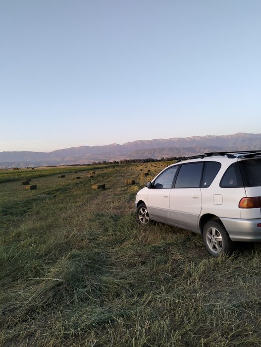 Тойота ипсум сатылады.