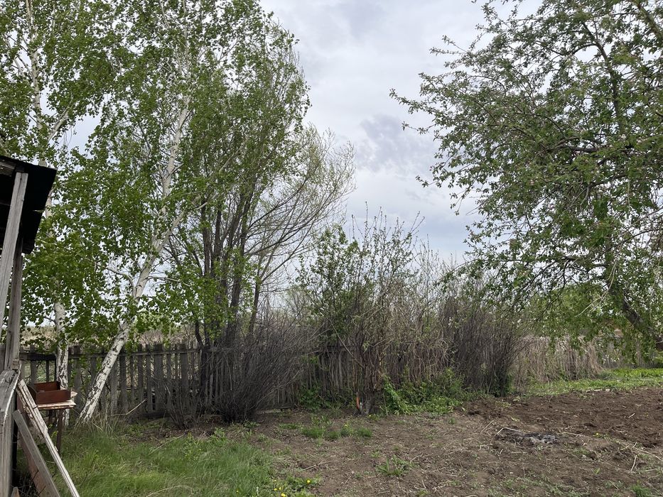 Продаю дачу  сортировка!