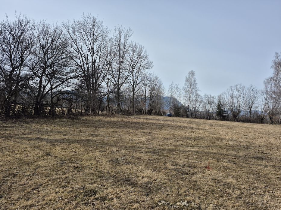 Teren Intravilan 1965mp Bran