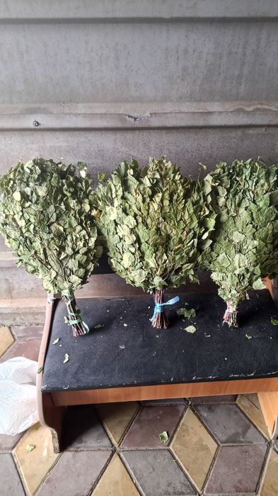 Березовый веник для бани