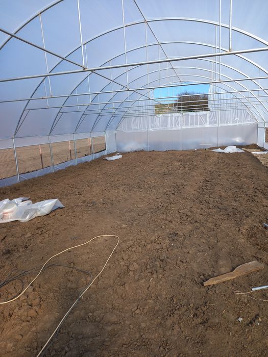 Solare legume și flori