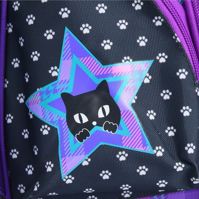 Школьный рюкзак Erhaft