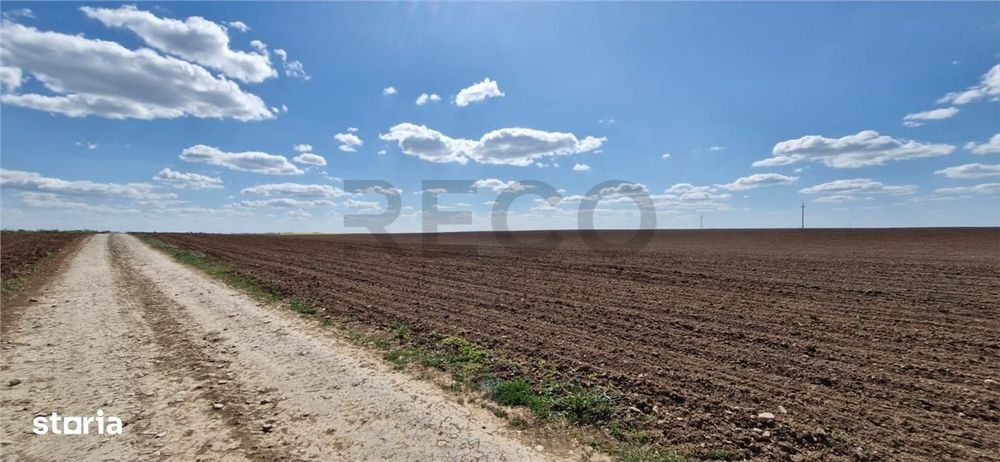 RECO Teren extravilan in Oradea 13000mp