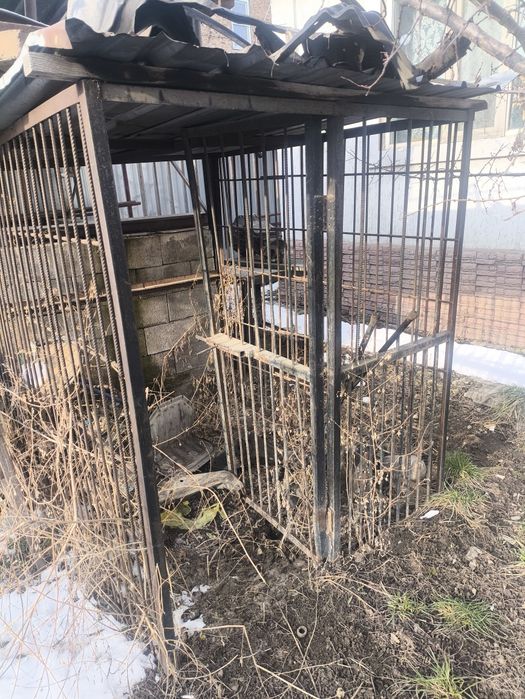 Вальер для собаки