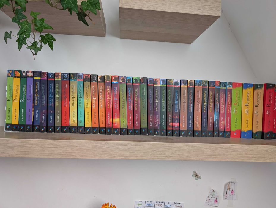 Vând cărți Pisicile Războinice