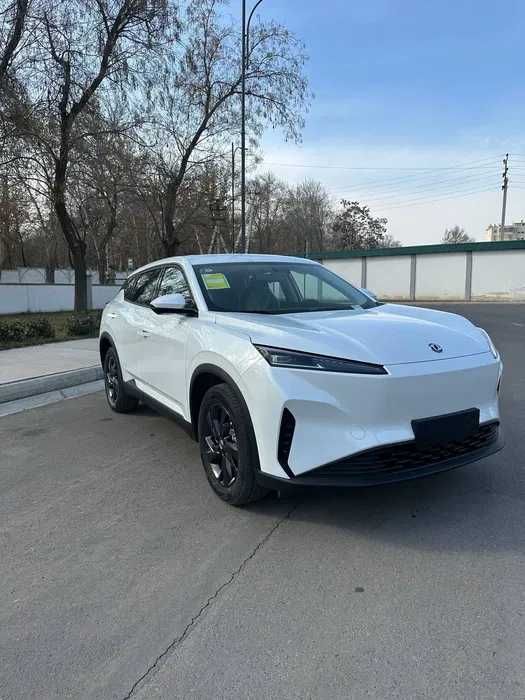 Dongfeng  2024 — 2