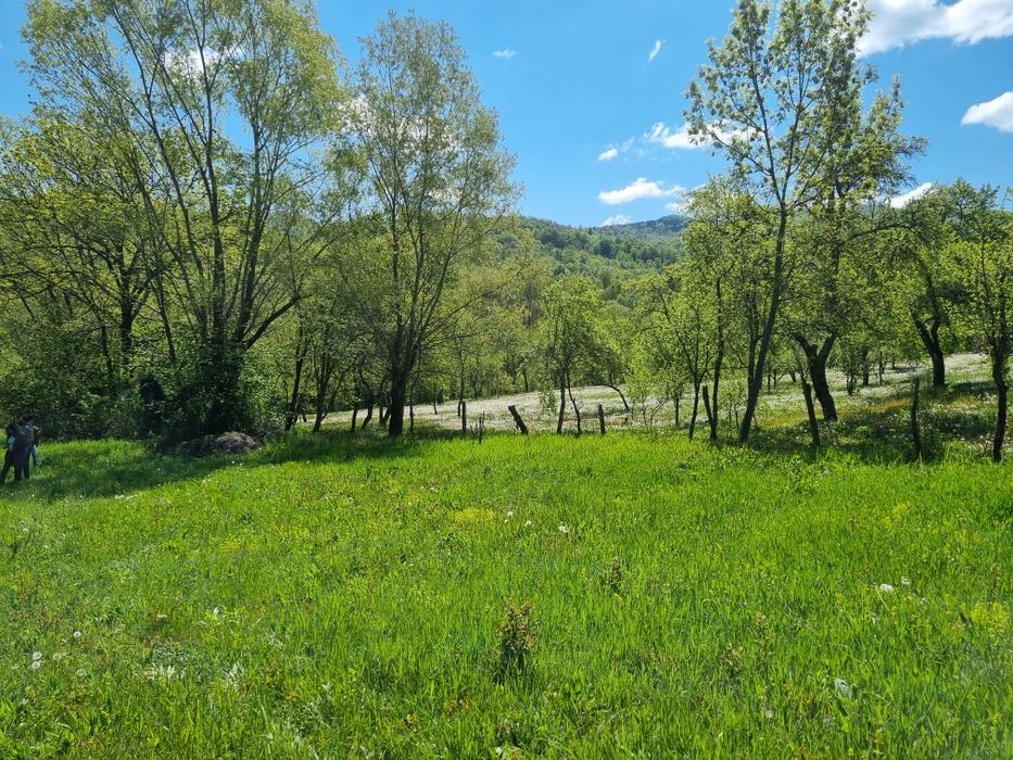 Teren in zona Calimanesti-Caciulata, cu iesire la parau