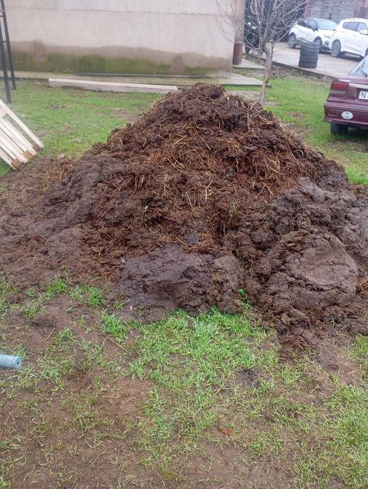 Навоз бараний бесплатно