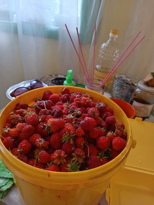 Продажа дачи в новопаловке