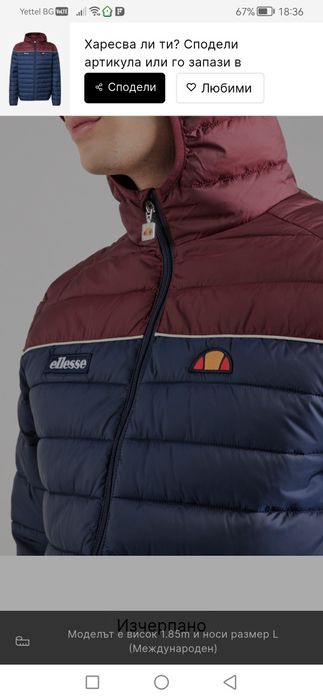 Мъжко яке Ellese