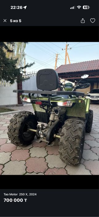 Квадроцикл Tao motor linko 250