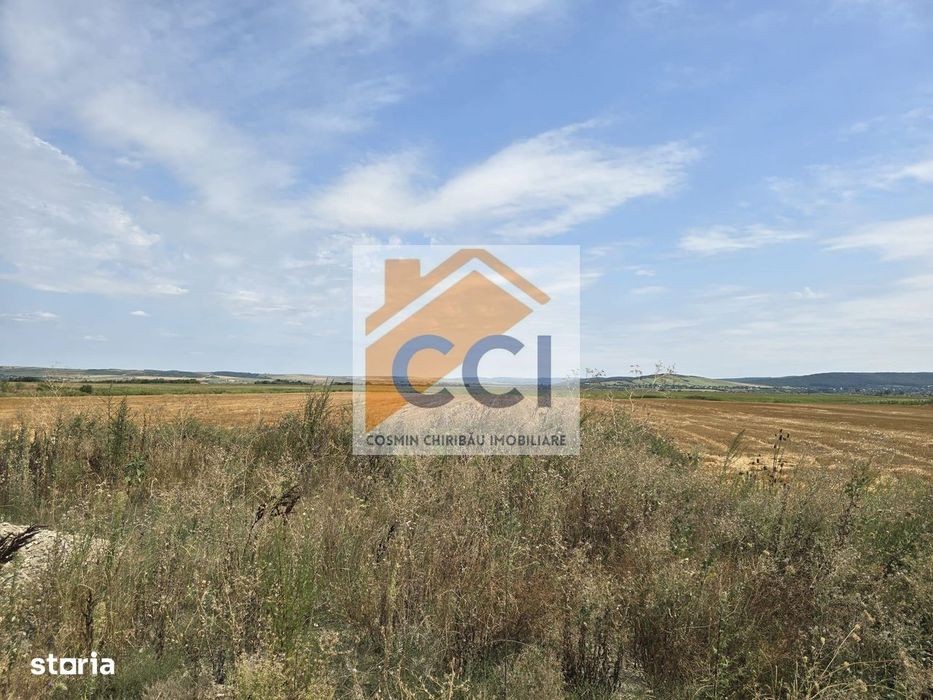 Teren intravilan– 50.000 mp, Bacău, Șoseaua Hol