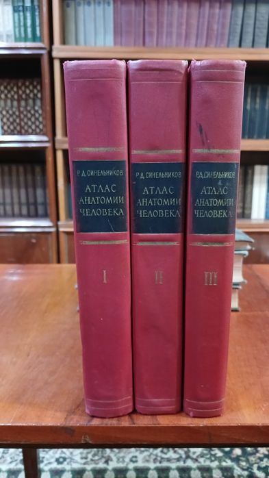 Атлас анатомии человека. Синельников
