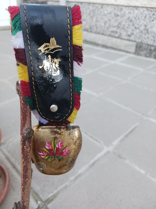 Красиви големи стари хлопки