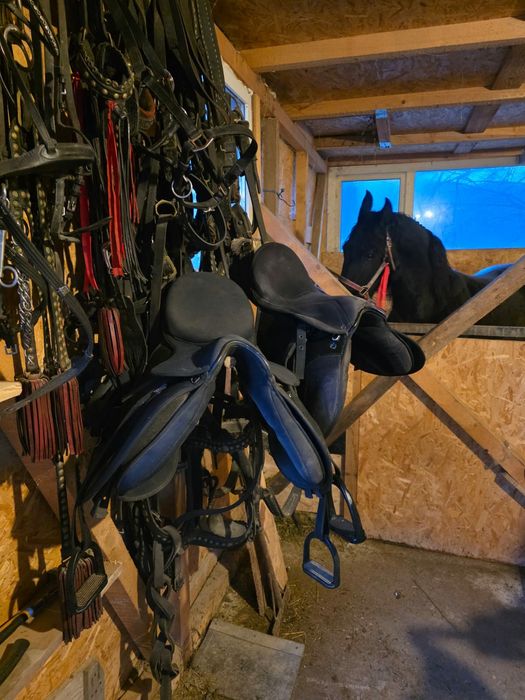 Șa pentru echitatie