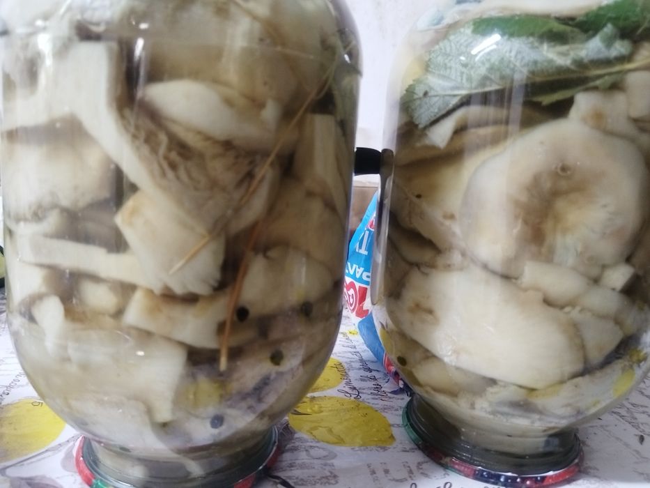 В продаже грибы разные