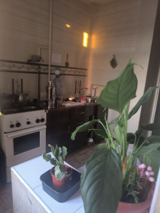 Квартира ижара шерикликка кизлага