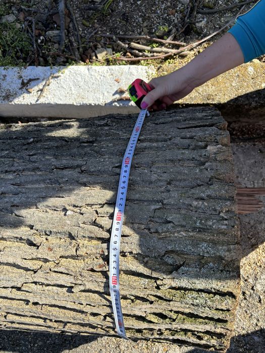 Орех, дънер за дървен материал