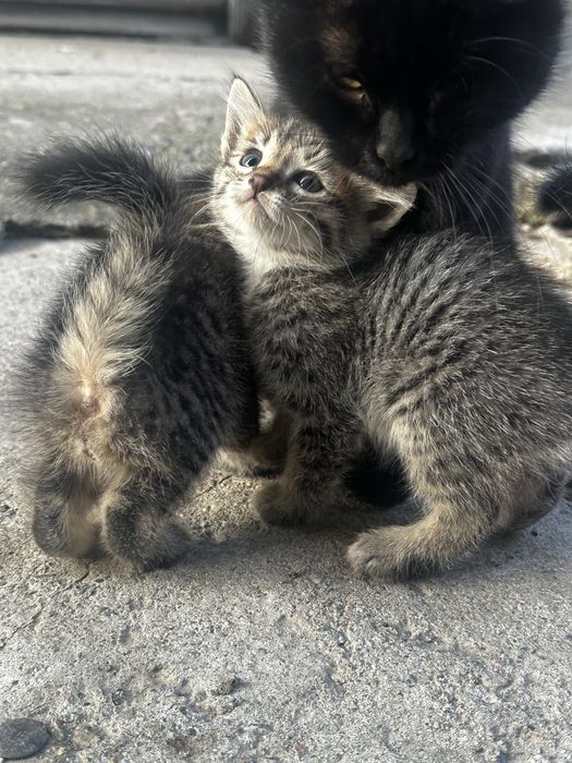 Только в любящие руки