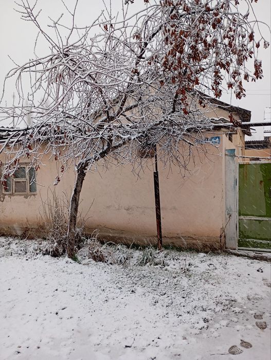 SROCNAGA Yer Taraqqiyat Yangibazor SRONA