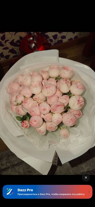 Цветы свежие Пионы