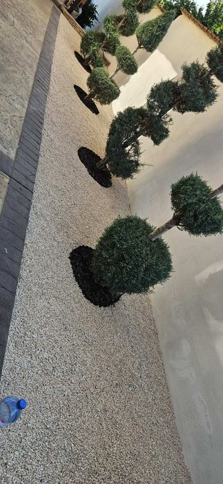 Озеленяване и декорация