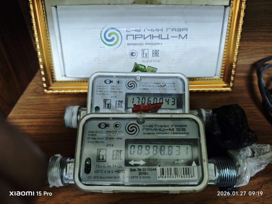Ультразвуковой счетчик газа «Принц».