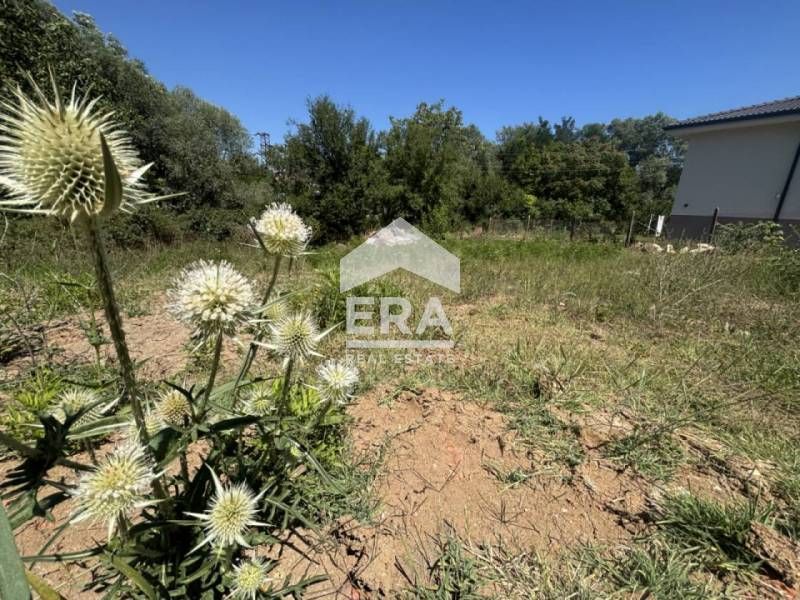 Ексклузивен парцел за продажба в чертите на село Осеново, област Варна